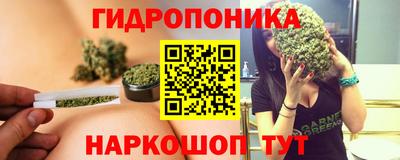 МДПВ Новозыбков